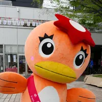 多治見陶器まつりの写真・動画_image_188396
