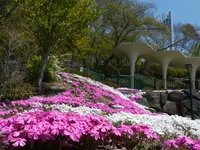 立石公園の写真・動画_image_188507