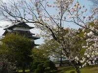 高島城の写真・動画_image_188508