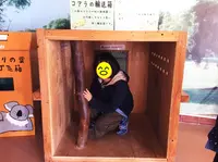 淡路ファームパーク イングランドの丘の写真・動画_image_188518
