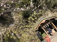 銭洗弁財天 宇賀福神社の写真・動画_image_188645