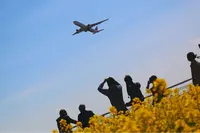 さくらの山公園の写真・動画_image_188670