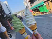 成田（成田山表参道）の写真・動画_image_188732