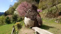 やすらぎの家の写真・動画_image_188801