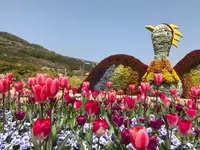 国営明石海峡公園の写真・動画_image_188838