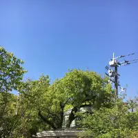 佐賀県護国神社の写真・動画_image_188857