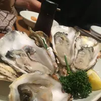 OYSTERS,INC. オイスターズインクの写真・動画_image_188877