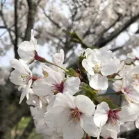 丹後由良駅の写真・動画_image_189010