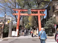 赤城神社の写真・動画_image_189297