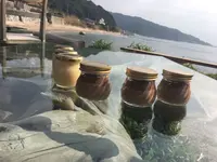 またいちの塩の写真・動画_image_189324