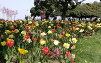 山下公園の写真・動画_image_189354
