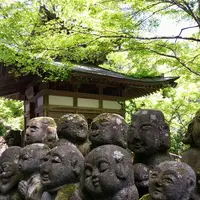 愛宕念仏寺の写真・動画_image_189382