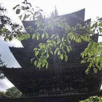 醍醐寺の写真・動画_image_189408