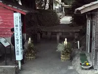 桜島の写真・動画_image_189661