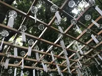 川越氷川神社の写真・動画_image_189784