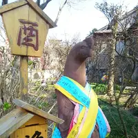 願掛け寺 香林寺の写真・動画_image_189966
