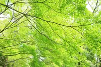 今熊野観音寺の写真・動画_image_189989