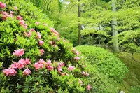 今熊野観音寺の写真・動画_image_189998