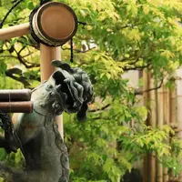 御寺 泉涌寺の写真・動画_image_190010
