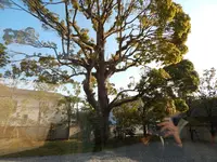 鈴木大拙館の写真・動画_image_190194