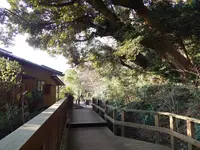 鈴木大拙館の写真・動画_image_190195
