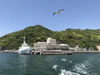 下田港内遊覧船の写真・動画_image_190286