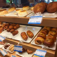 光が丘公園の写真・動画_image_190367