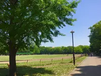 光が丘公園の写真・動画_image_190370