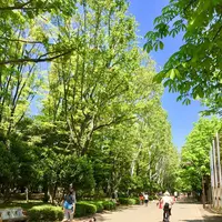 光が丘公園の写真・動画_image_190371