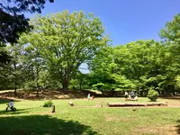 光が丘公園の写真・動画_image_190372