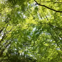 光が丘公園の写真・動画_image_190373