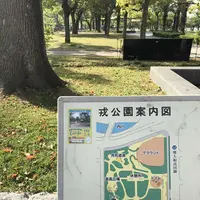 ザビエル公園の写真・動画_image_190390