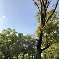 ザビエル公園の写真・動画_image_190392