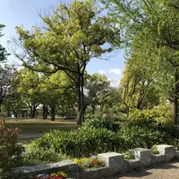 ザビエル公園の写真・動画_image_190394