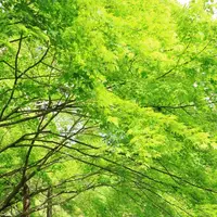 今熊野観音寺の写真・動画_image_190493