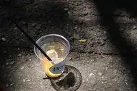 パーチ バイ ウッドベリー コーヒー ロースターズ （Perch by WOODBERRY COFFEE ROASTERS）の写真・動画_image_190538