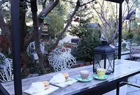 bondolfi boncaffē 代官山 （ボンドルフィ ボンカフェ）の写真・動画_image_190554