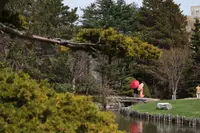 中島公園の写真・動画_image_190574