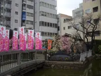 大阪天満宮（天満の天神さん）の写真・動画_image_190931