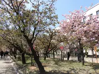 造幣博物館の写真・動画_image_190934