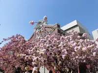 造幣博物館の写真・動画_image_190936