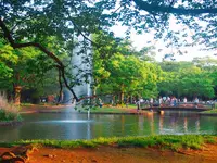 代々木公園の写真・動画_image_191049