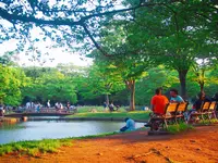 代々木公園の写真・動画_image_191050