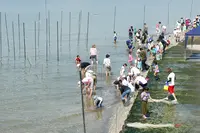 竹島の写真・動画_image_191164