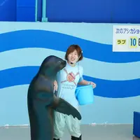 竹島水族館の写真・動画_image_191185