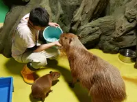 竹島水族館の写真・動画_image_191192