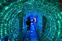 竹島ファンタジー館の写真・動画_image_191199