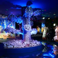 竹島ファンタジー館の写真・動画_image_191200