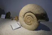 竹島ファンタジー館の写真・動画_image_191201