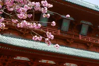 大門の写真・動画_image_191347
